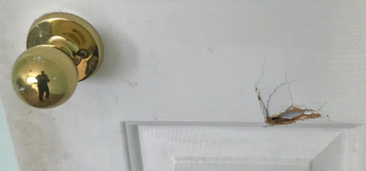 interior door hole repair Auburn