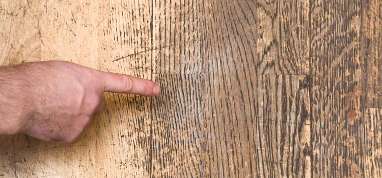 Wood Door Scratch Repair in Auburn